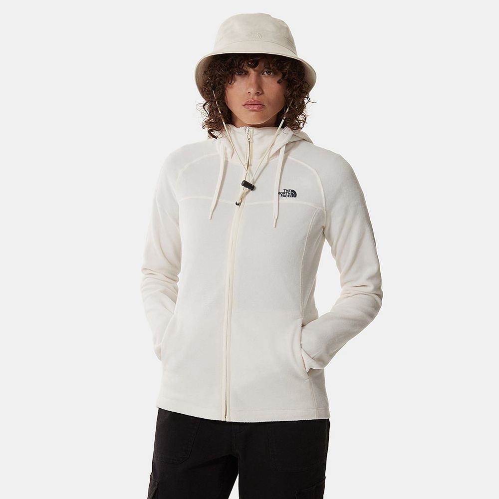 The North Face Hoodie Womens Australia - The North Face Homesafe Full-Zip Fleece White (DFC-438560)